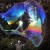 The Dutch Bubble Man